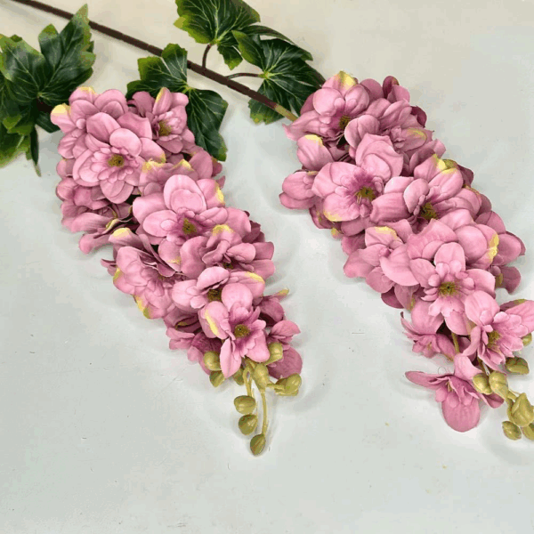 Дельфініум рожева пудра