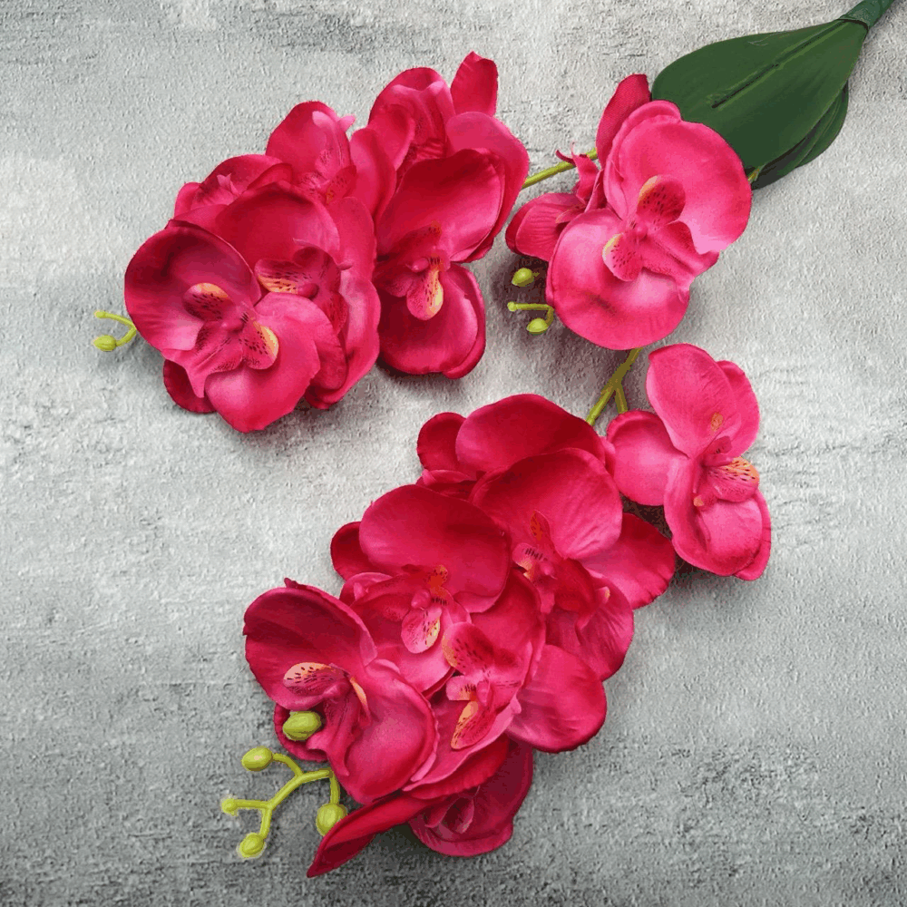 Орхідея кущова рожева