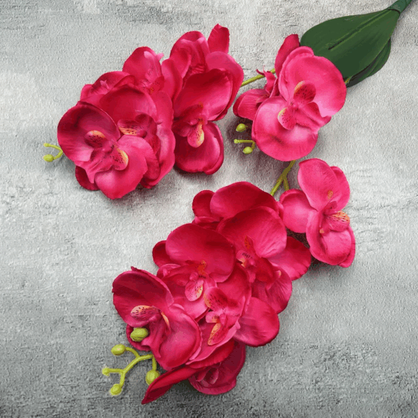 Орхідея кущова рожева