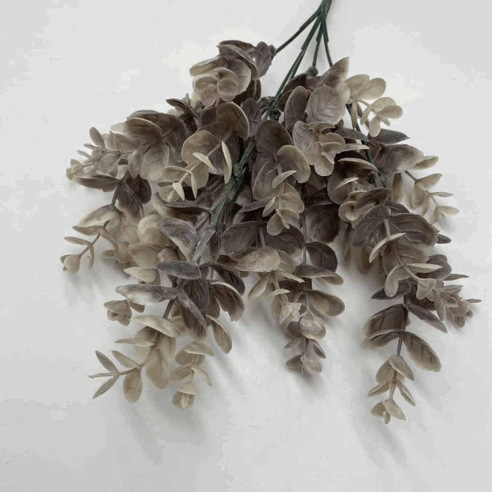 Евкаліпт кущовий