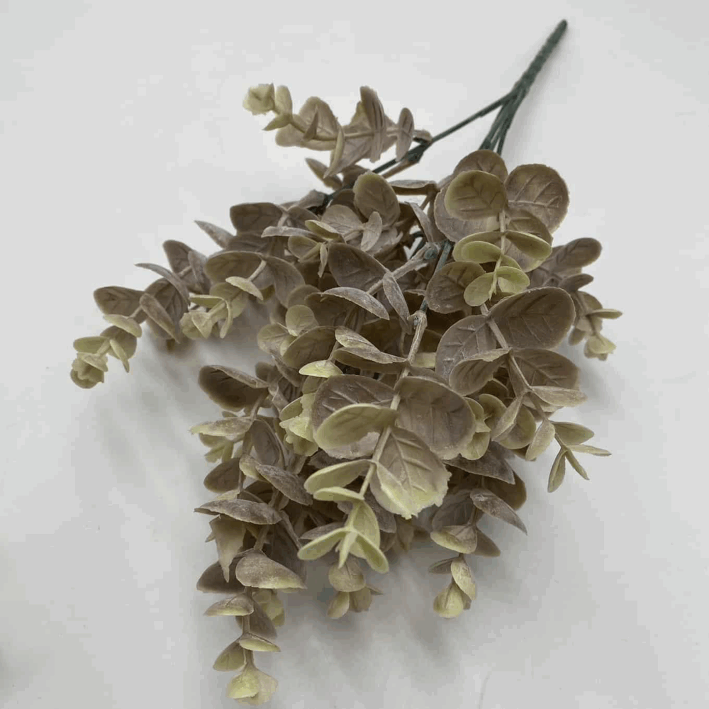 Евкаліпт кущовий