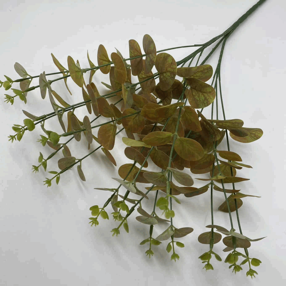 Евкаліпт охра