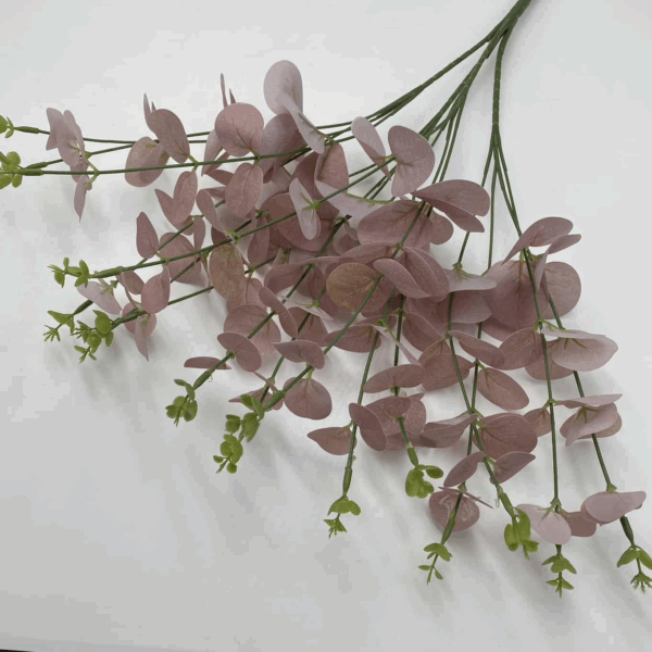 Евкаліпт рожевий