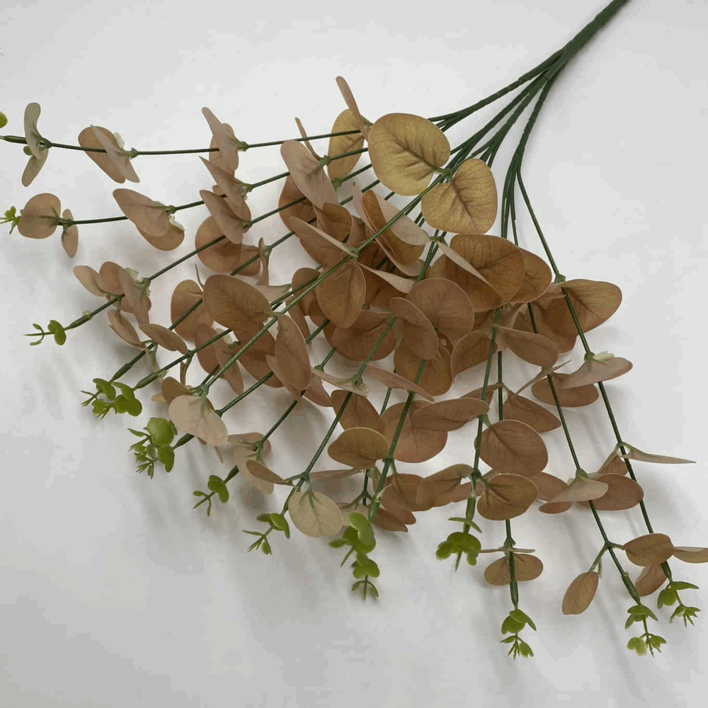 Евкаліпт осінній