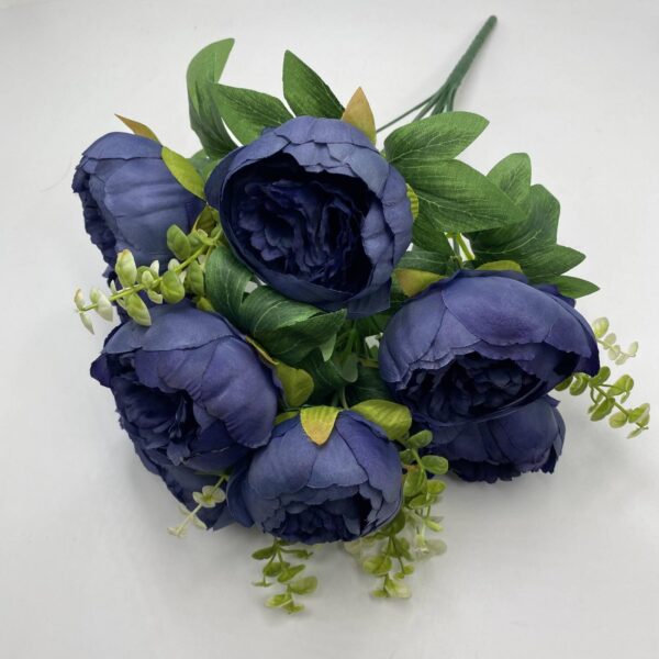 Піон кущовий синій