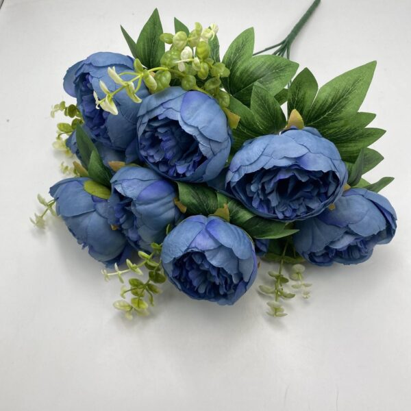 Піон кущовий аквамарин