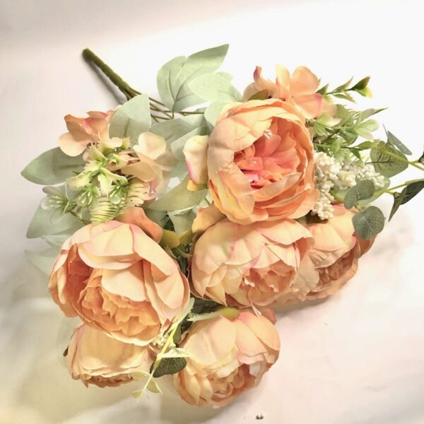 Піон кущовий персик