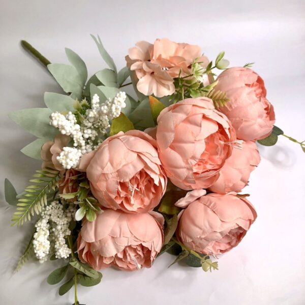 Піон кущовий рожева пудра