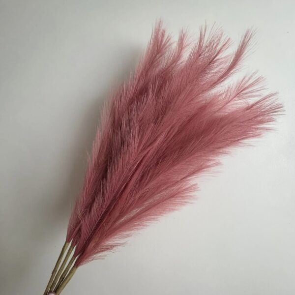Помпасна гілка рожева