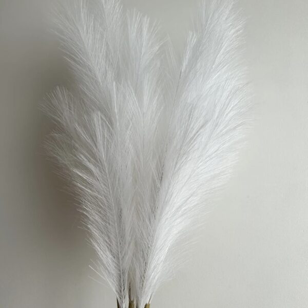 Помпасна гілка біла