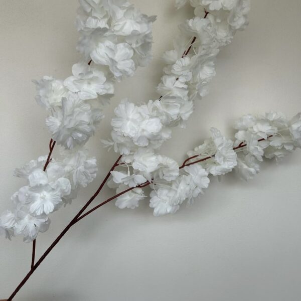 Сакура біла,білосніжна