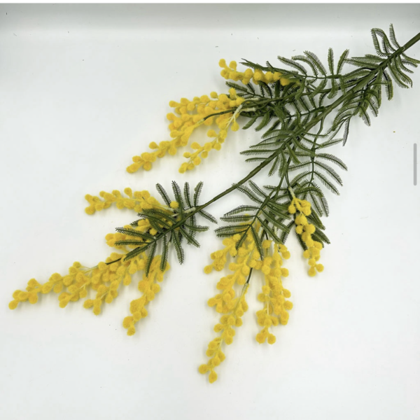 Мімоза жовта