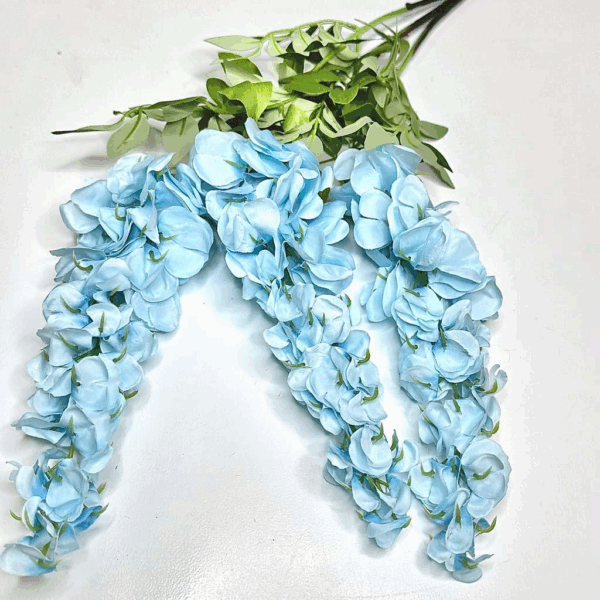 Гліцінія голуба