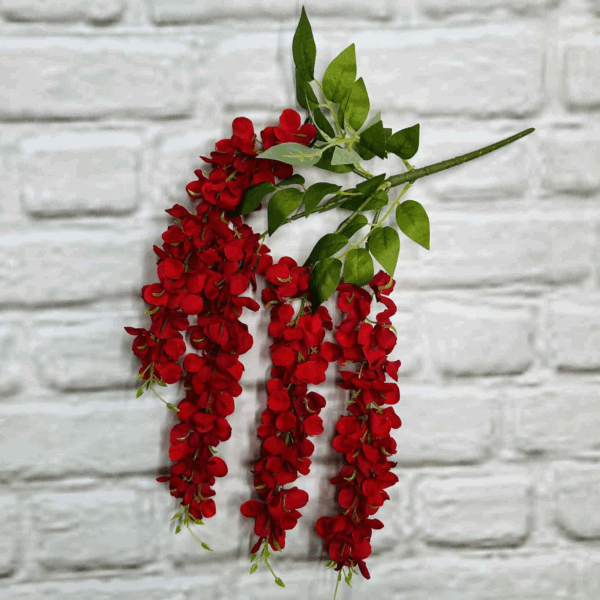 Гліцінія червона