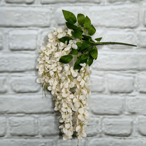 Гліцінія рожева