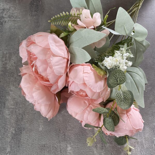 Піон кущовий пудровий