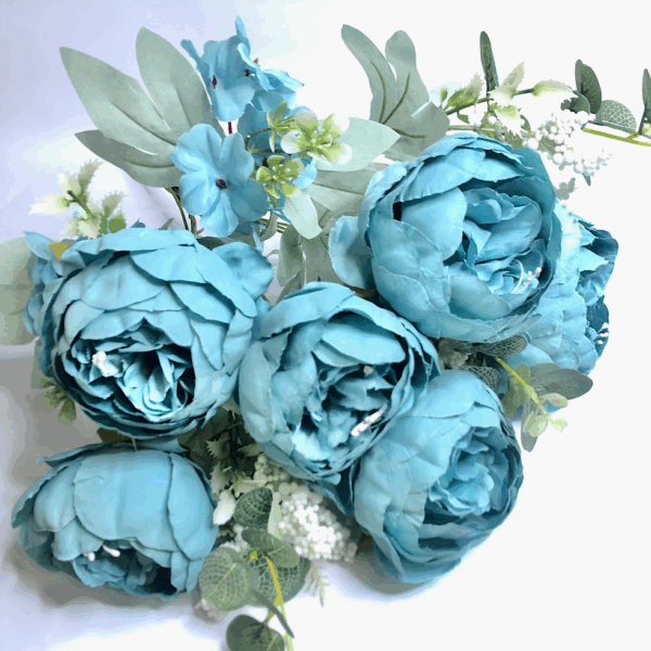 Піон кущовий голубий