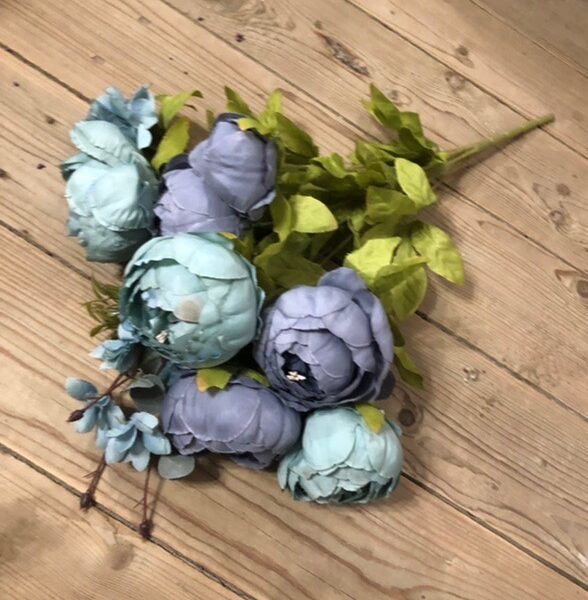 Піон кущовий голубий з фіалковим