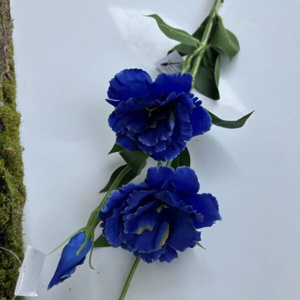 Еустома синя