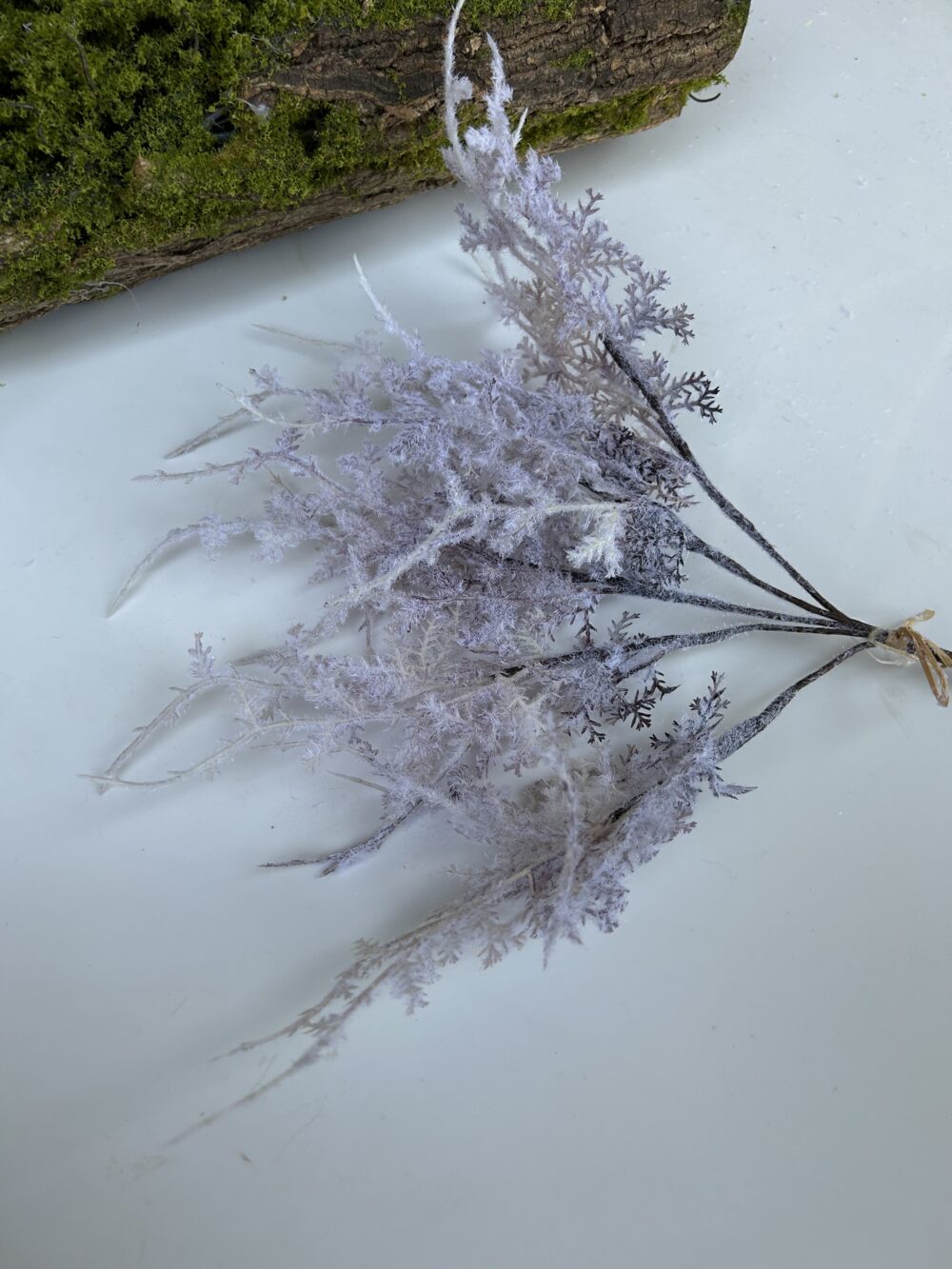 Морозець сіро-фіалковий