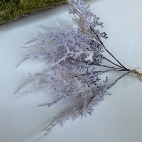 Морозець сіро-фіалковий