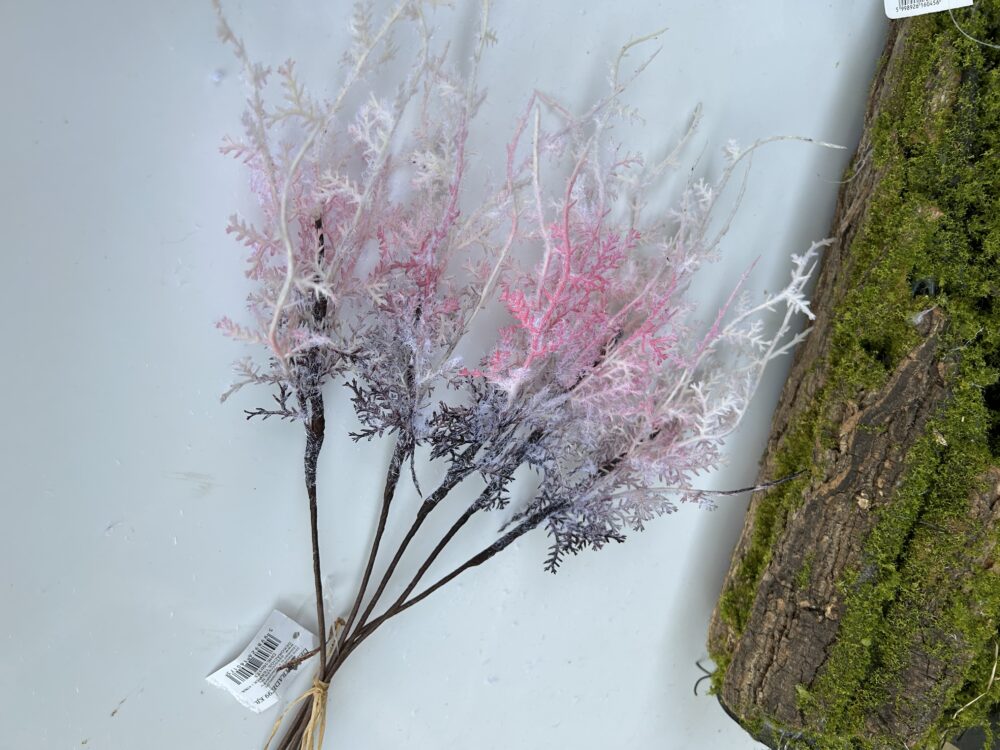 Морозець рожевий