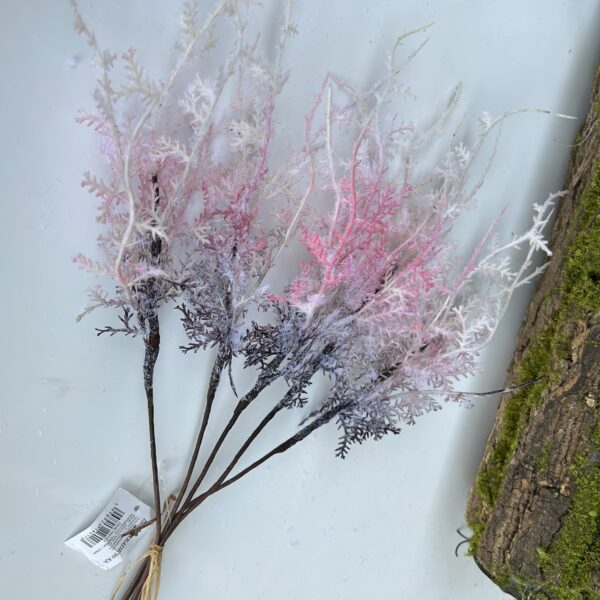 Морозець рожевий