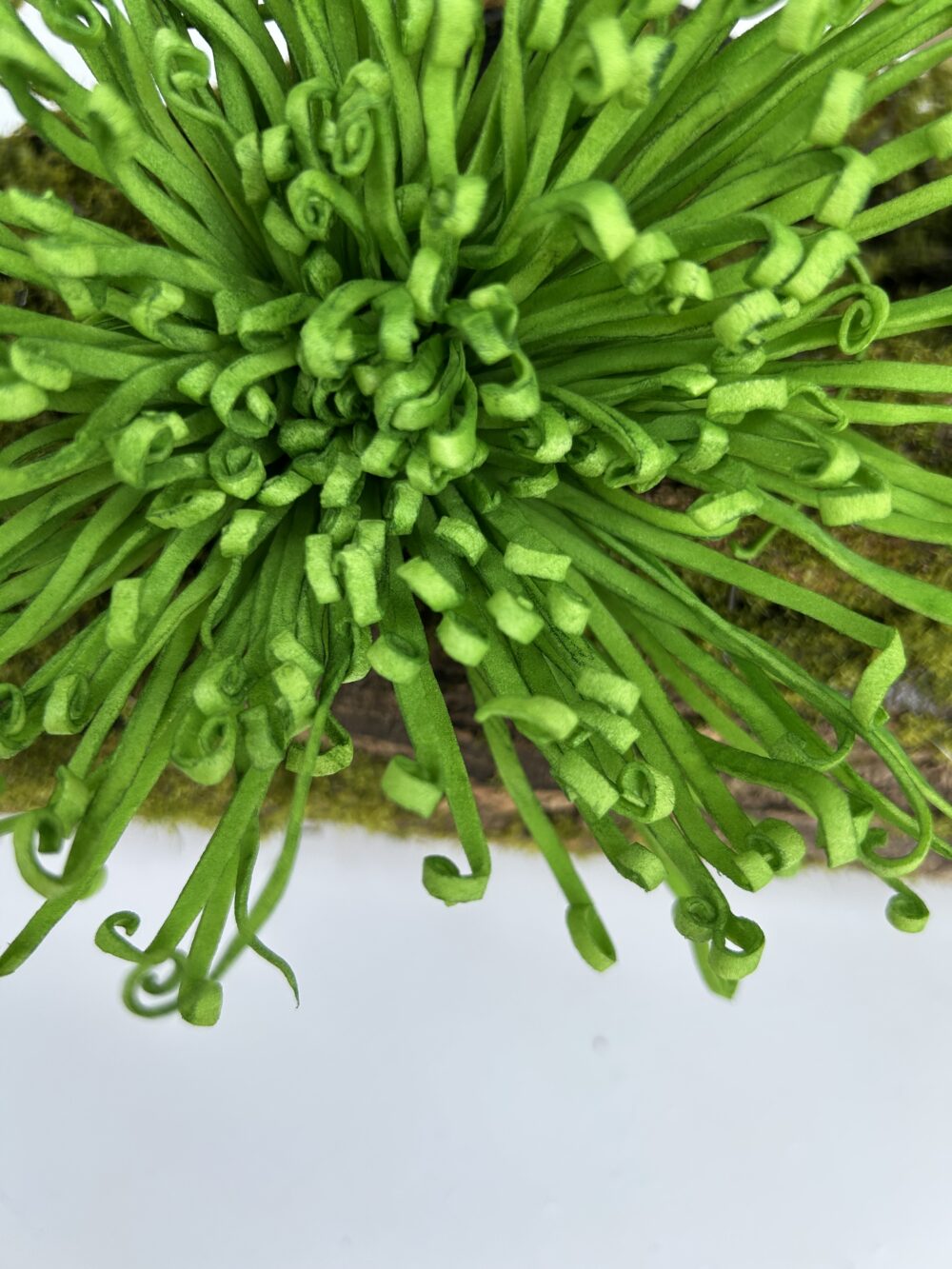 Штучна Хризантема Зелена «Real Touch» - Зображення 2