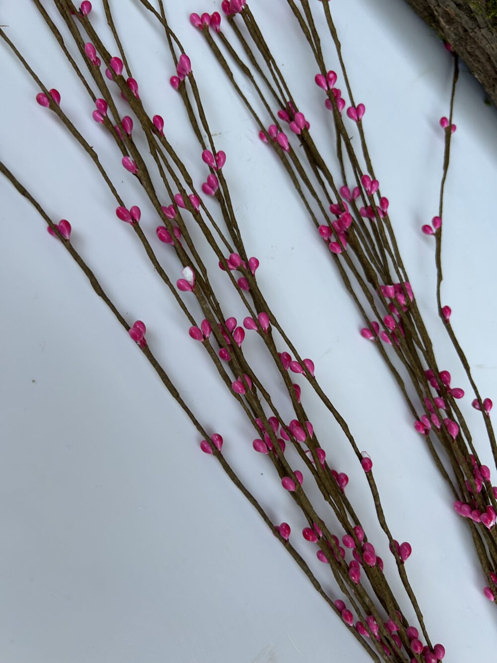 Тичинка рожева - Зображення 2