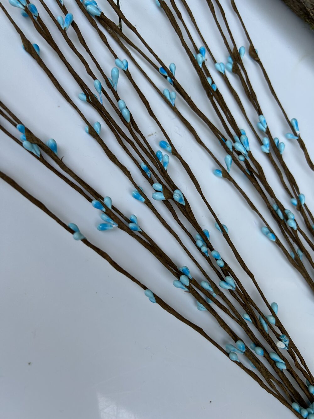 Тичинка голуба - Зображення 2