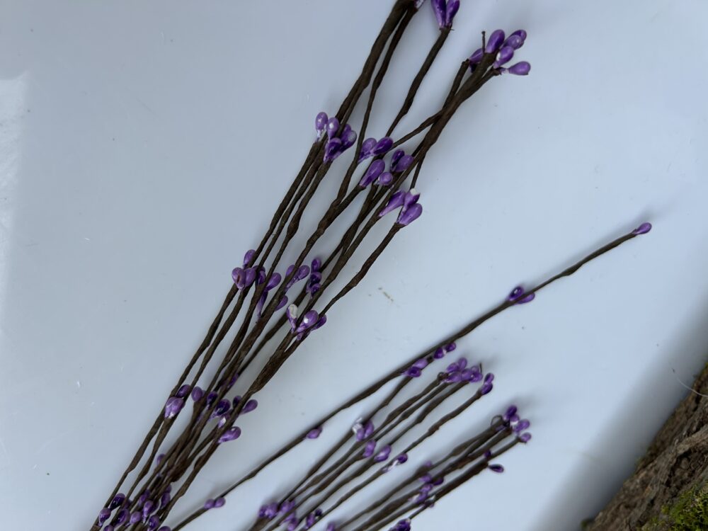 Тичинка фіалкова