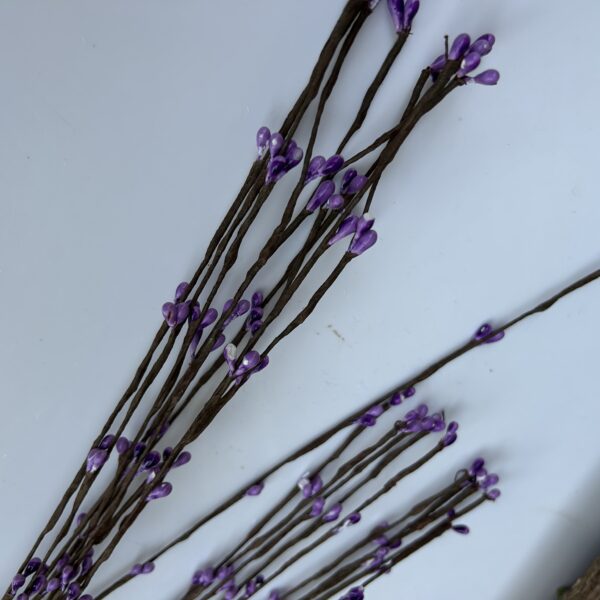 Тичинка фіалкова