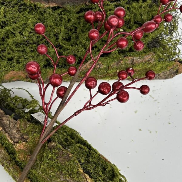 Калина червона перламутрова