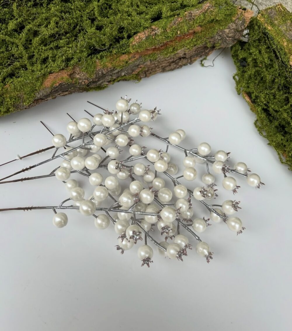 Калина перламутрова біла