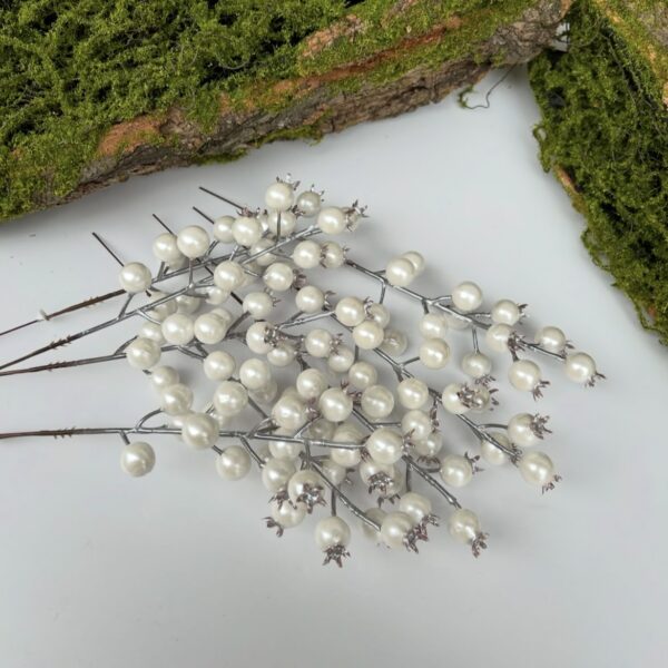 Калина перламутрова біла