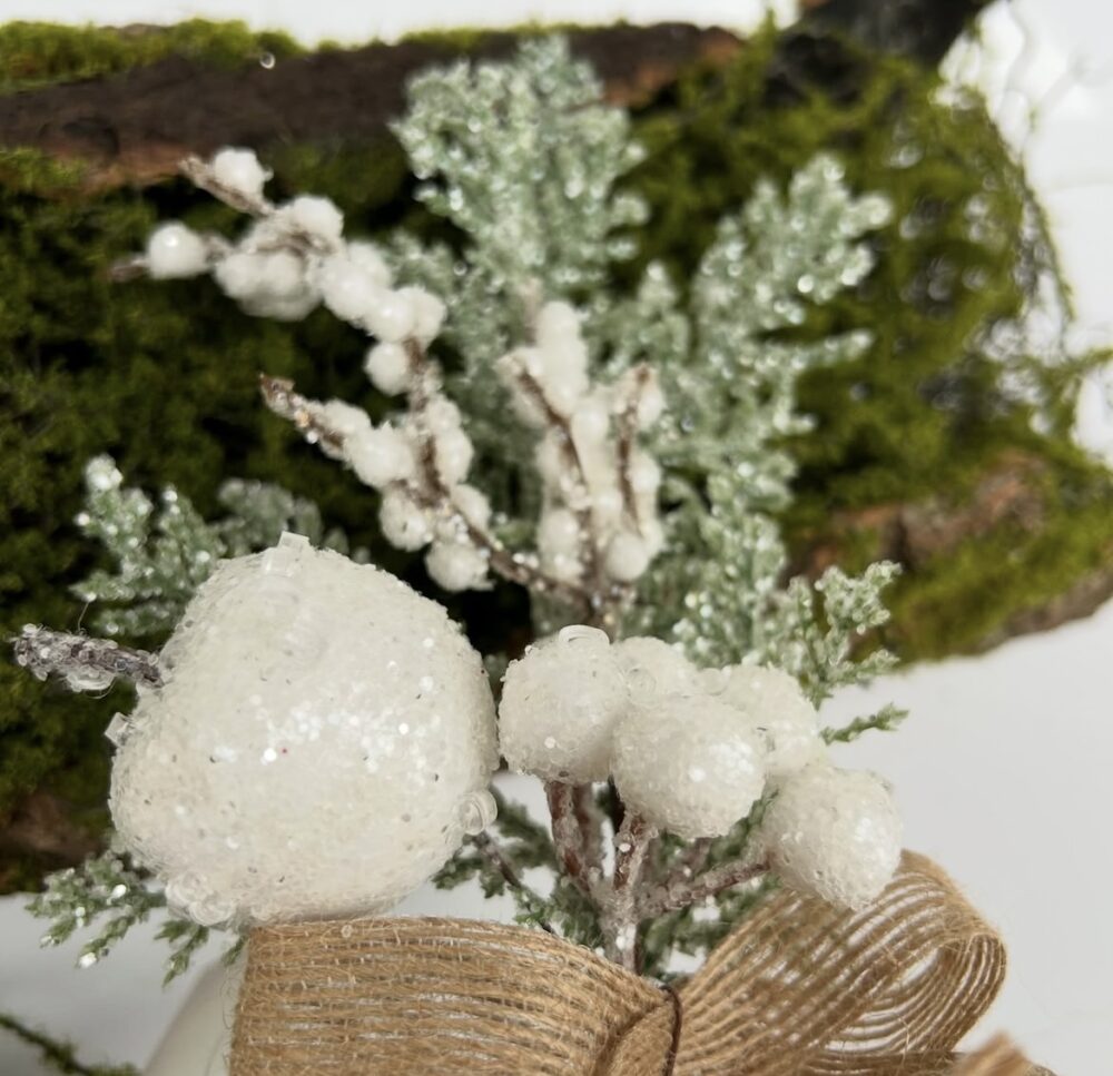 Бутоньєрка хвоєва - Зображення 2