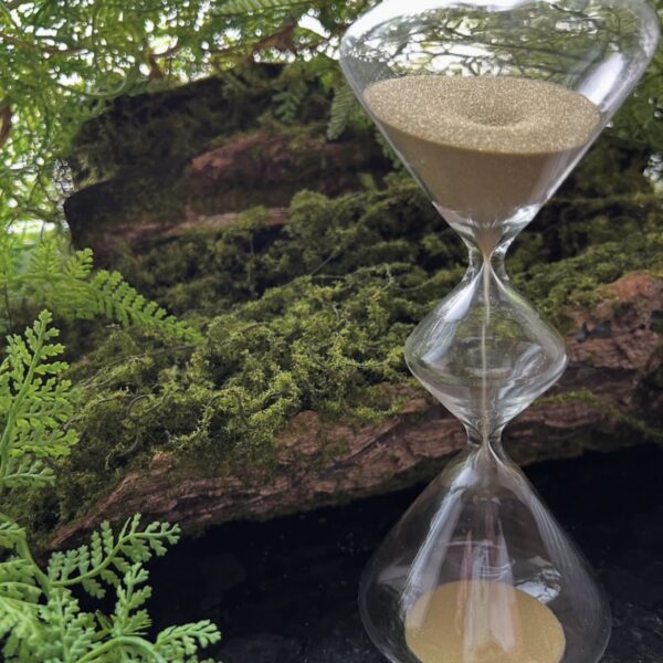 Сипучий годинник