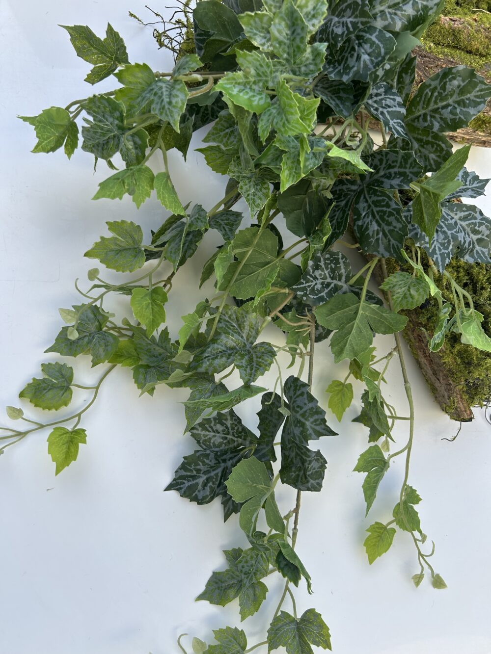 Плющ гелевий зелений - Зображення 4