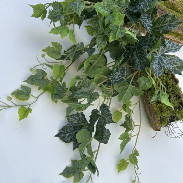 Плющ гелевий зелений