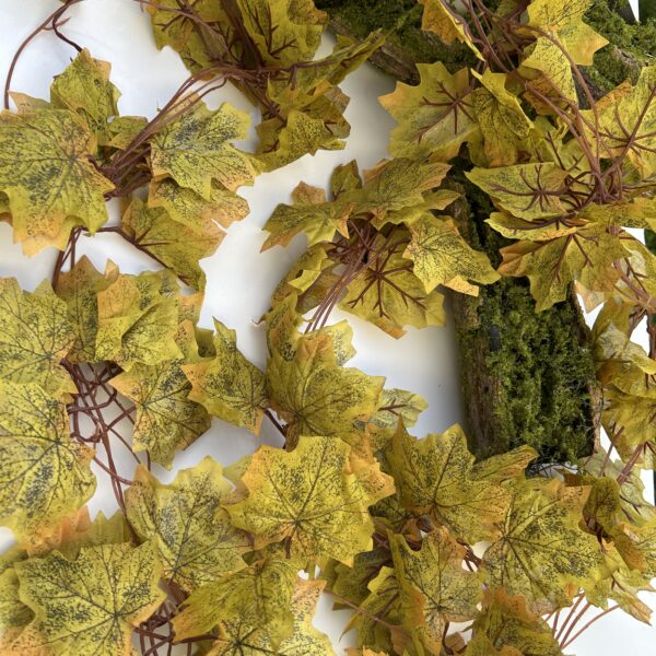 Осіння ліана