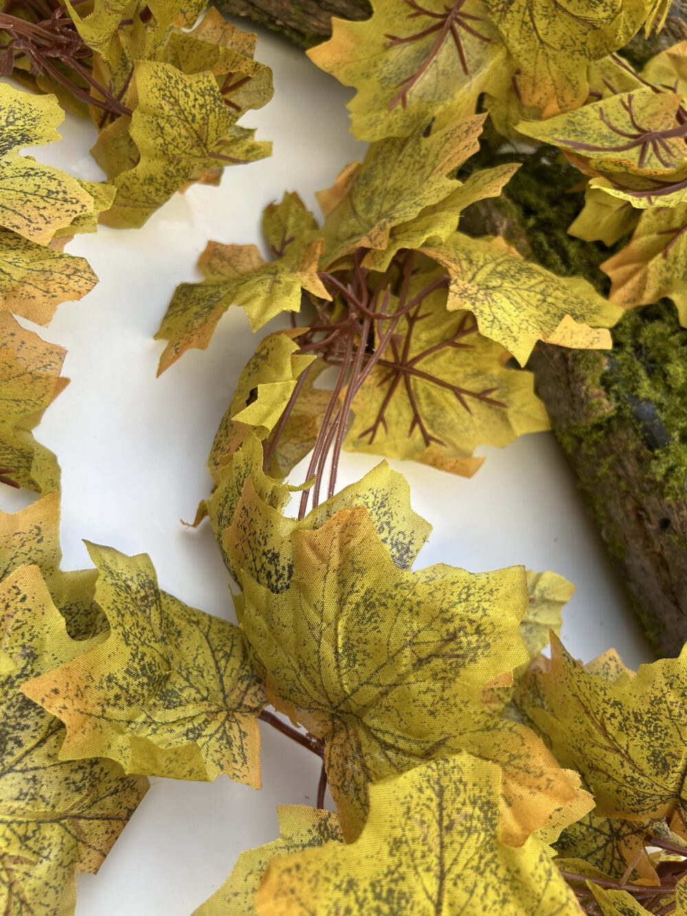 Осіння ліана - Зображення 2