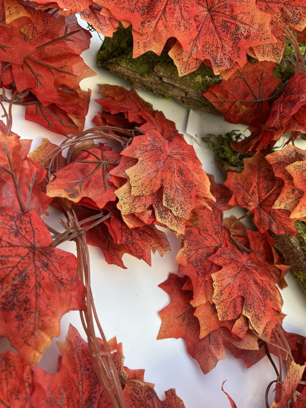 Осіння ліана - Зображення 2