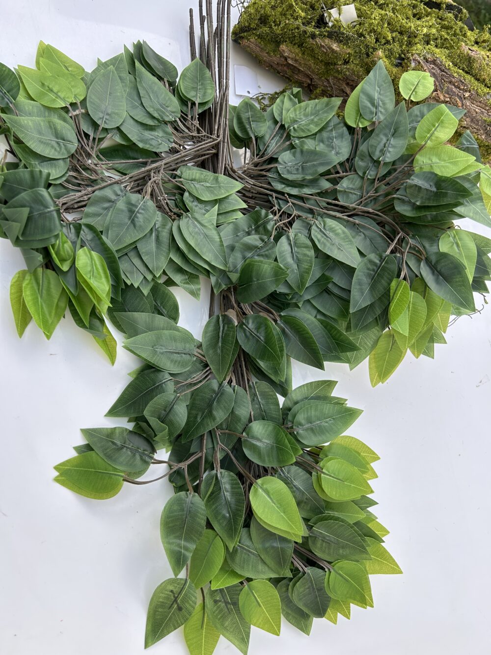 Гілка вишні зелена