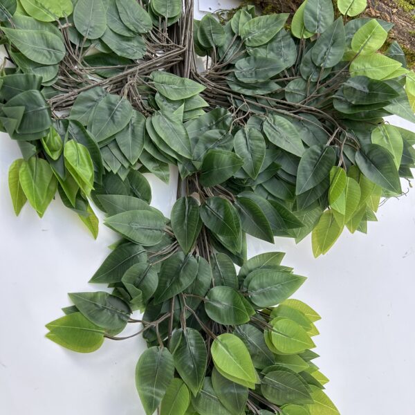 Гілка вишні зелена