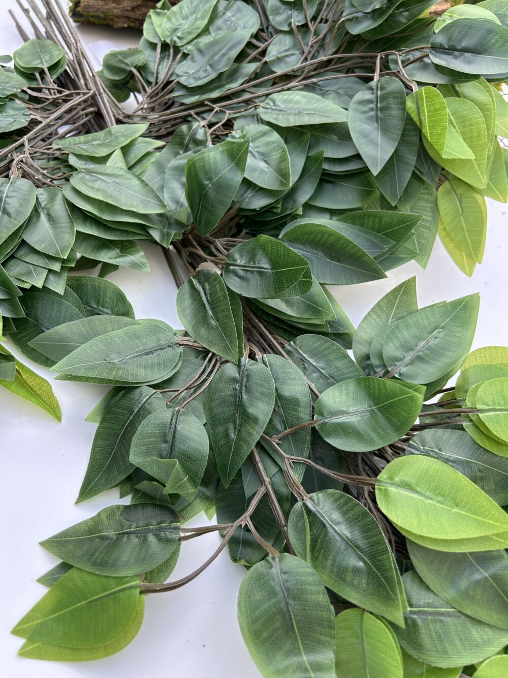 Гілка вишні зелена - Зображення 2