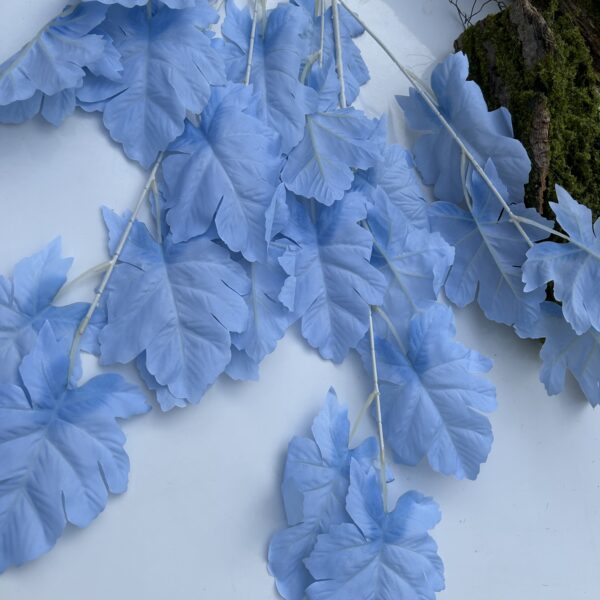 Гілка дуба голуба