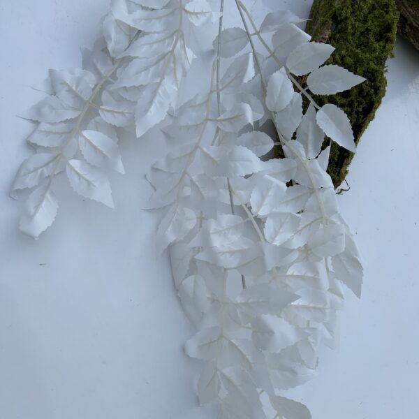 Гілка ясена біла