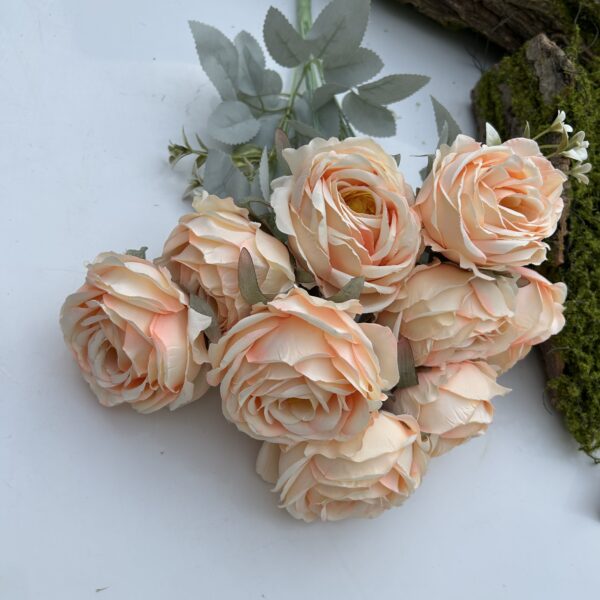 Троянда королівська шампань