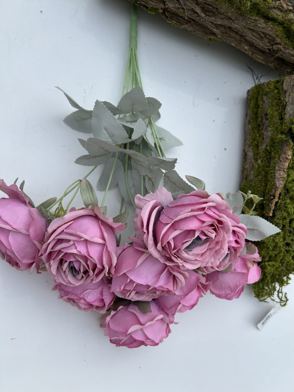 Троянда королівська бузкова - Зображення 5