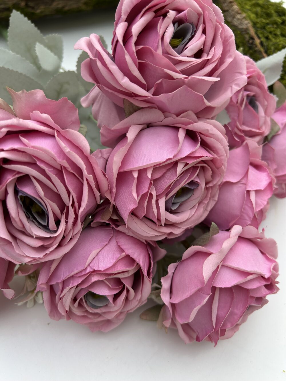 Троянда королівська бузкова - Зображення 4